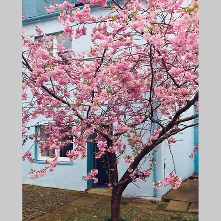 Albion Cottage Cockermouth Dış mekan fotoğraf