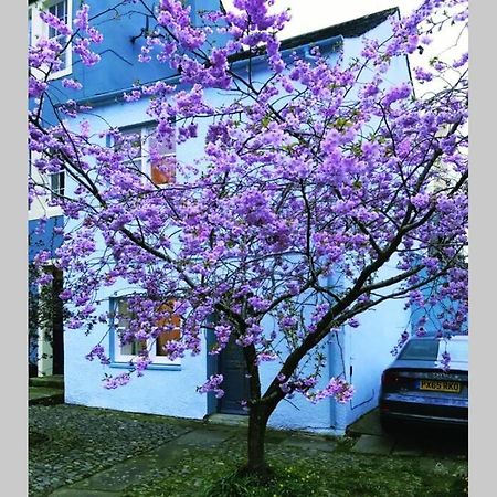 Albion Cottage Cockermouth Dış mekan fotoğraf