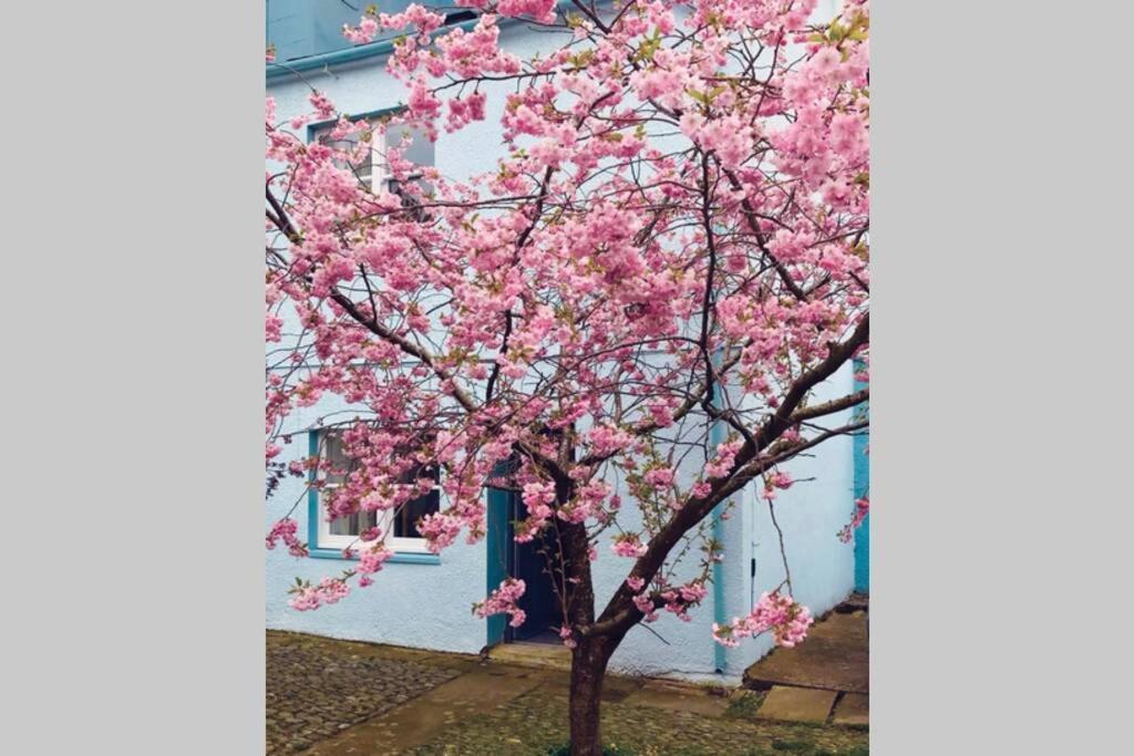 Albion Cottage Cockermouth Dış mekan fotoğraf