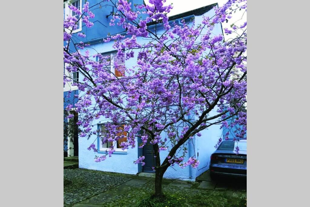 Albion Cottage Cockermouth Dış mekan fotoğraf